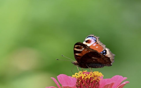 浙江虚拟主机-VPS联盟