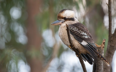 智能机房 云计算-VPS联盟