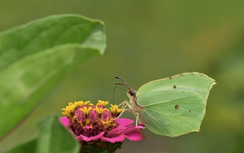 中国14大核心idc机房-VPS联盟