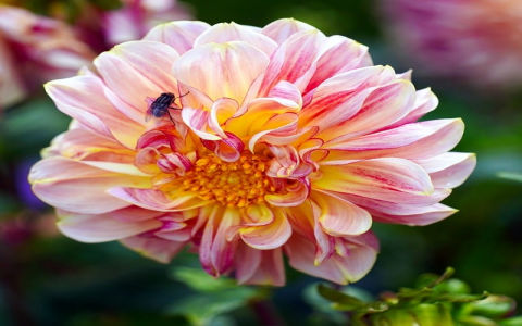 浙江电信机房-VPS联盟