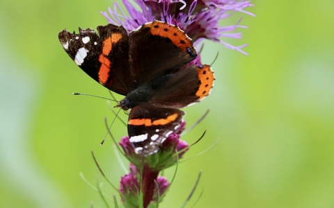 政府机房服务器都是-VPS联盟