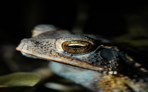 中文 域名注册-VPS联盟