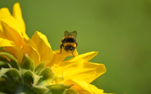 中文虚拟主机-VPS联盟