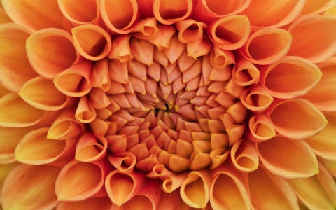 怎么样登陆域名服务器-VPS联盟