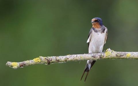 中国万网网站空间申请-VPS联盟