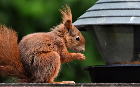 怎么重新开通qq空间-VPS联盟