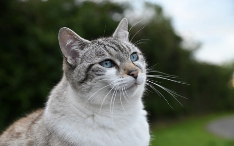 中关村 服务器-VPS联盟