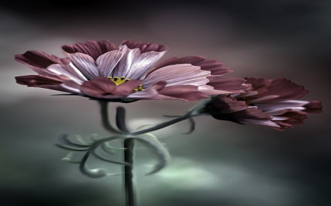 兆维机房托管-VPS联盟