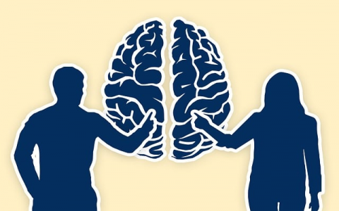 中国联通东莞数据中心-VPS联盟