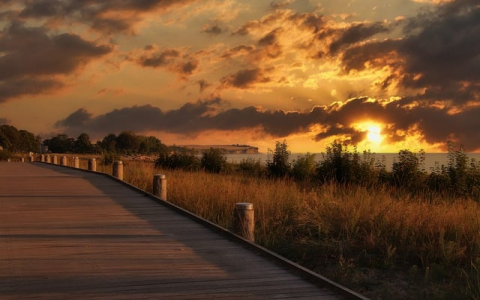 怎么在空间里推荐自己的-VPS联盟