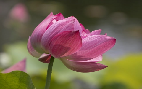 中国机房技术-VPS联盟