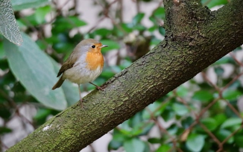 怎么管理服务器-VPS联盟