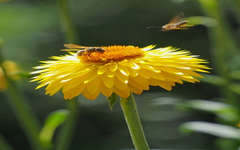 怎么在虚拟主机上建网站-VPS联盟