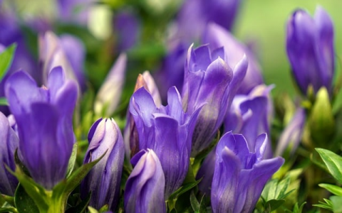 知道域名怎么查服务器-VPS联盟