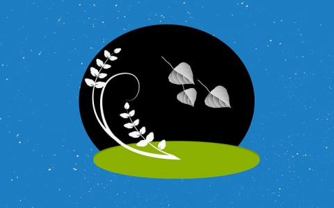 浙江云服务器地址-VPS联盟