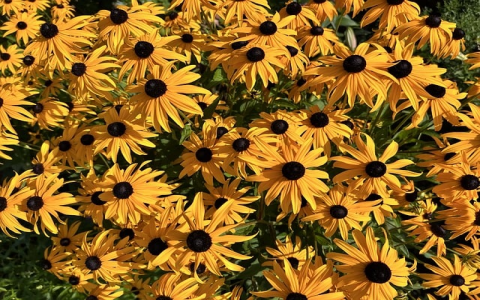 支持java的云服务器-VPS联盟