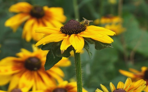 怎么能进到需要申请的QQ空间-VPS联盟
