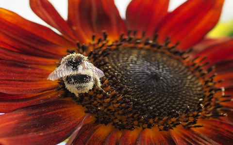 中国移动 机房-VPS联盟