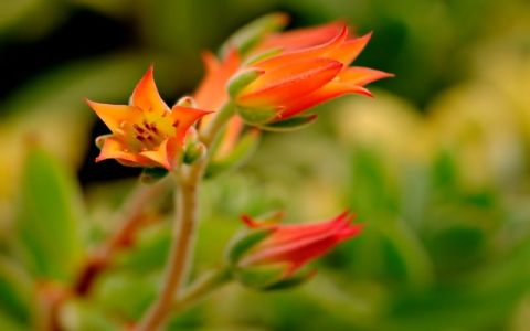 怎样将网页发到qq空间-VPS联盟