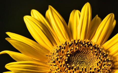 中国万网空间-VPS联盟