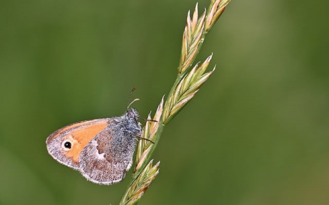 郑州多线bgp机房-VPS联盟