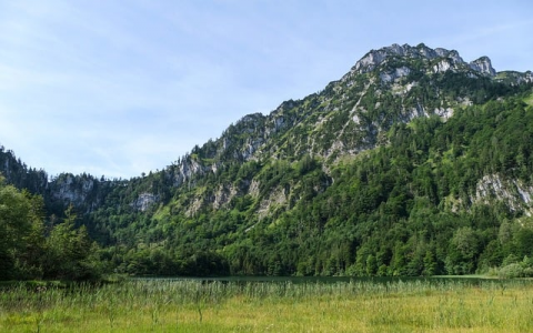 怎么隐藏域名注册信息-VPS联盟