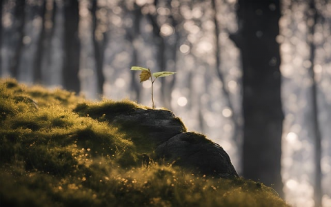 怎样才能看别人申请访问的空间-VPS联盟
