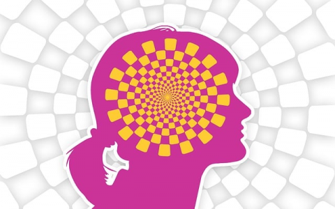 证书域名本地服务器-VPS联盟