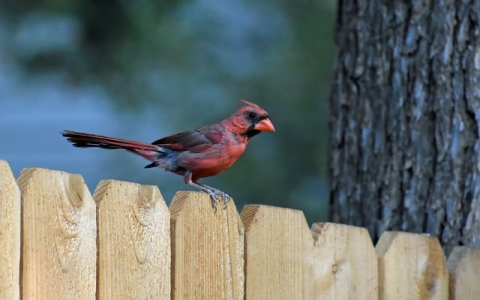 怎么样购买网站空间-VPS联盟