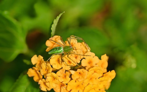 怎么申请网站空间-VPS联盟