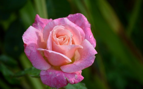 中国电信香港机房-VPS联盟