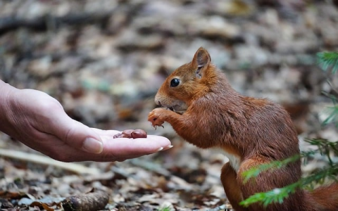 怎样给服务器做别名解析-VPS联盟