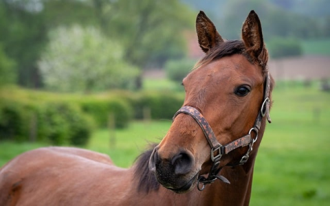 长沙有哪些数据中心-VPS联盟