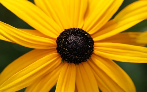 长沙哪有特殊服务器-VPS联盟