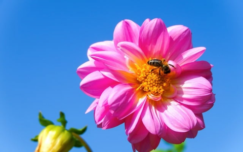 郑州景安数据中心-VPS联盟