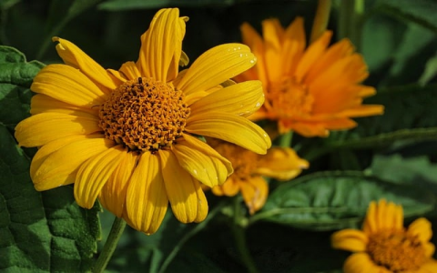 中国香港网络服务器地址-VPS联盟