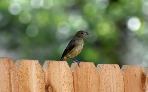 浙江托管服务器-VPS联盟