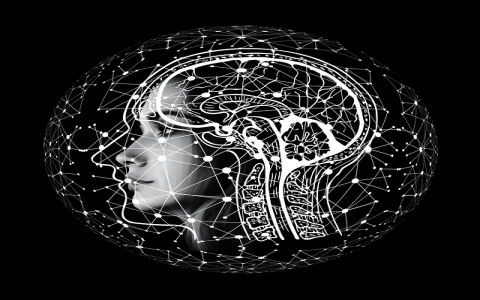 中东服务器租用-VPS联盟