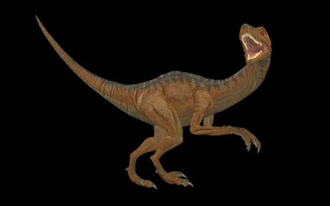 中客空间服务商-VPS联盟