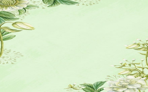 怎么远程云服务器地址-VPS联盟