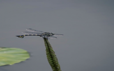 中国联通idc成都基地-VPS联盟