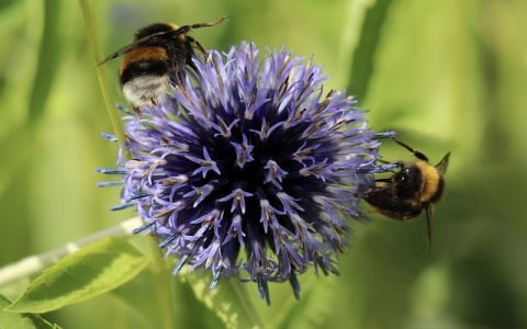 浙江电信idc-VPS联盟