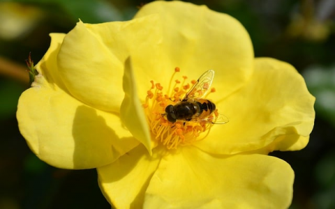 怎么连接云服务器-VPS联盟