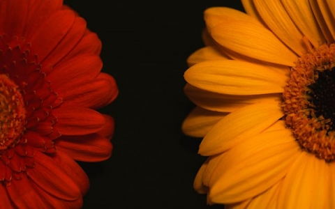 兆维机房怎么样-VPS联盟