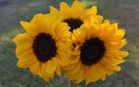 中国云空间-VPS联盟