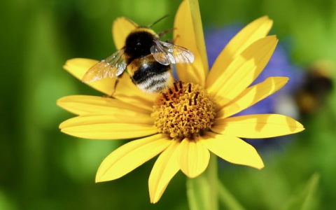 中国 云主机-VPS联盟