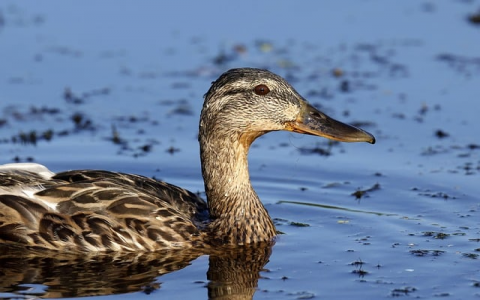 中国电信永丰数据中心 地址-VPS联盟