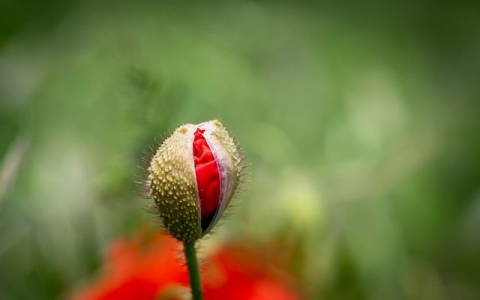 怎样上传ftp文件-VPS联盟