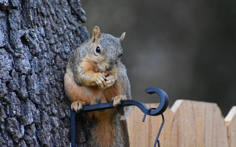 怎么申请域名和空间-VPS联盟