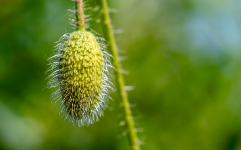 怎样设置imap服务器-VPS联盟